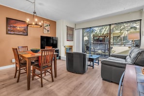 TV, fireplace, DVD player
