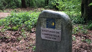 A stone marker with a plaque reading "Santiago de Compostela 3034 KM" in a forested area. - Maison Euba am Zeisigwald (Euba)