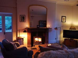 Smart TV, fireplace, books, stereo