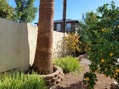 Centrally Located 2 bedroom 1 bath Duplex