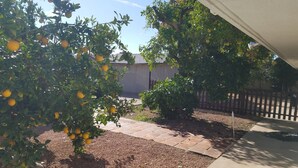 Un jardín con árboles frutales maduros, un sendero pavimentado y una valla de madera.