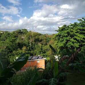 Basic Room | View from room