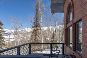 Property grounds - 5 min to lifts - Hot Tub - Free Car -Mountain Views - Privacy (Telluride)