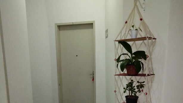 Un couloir doté d’un sol carrelé, une porte blanche au fond et une étagère fixée au mur, ornée de plantes en pot.