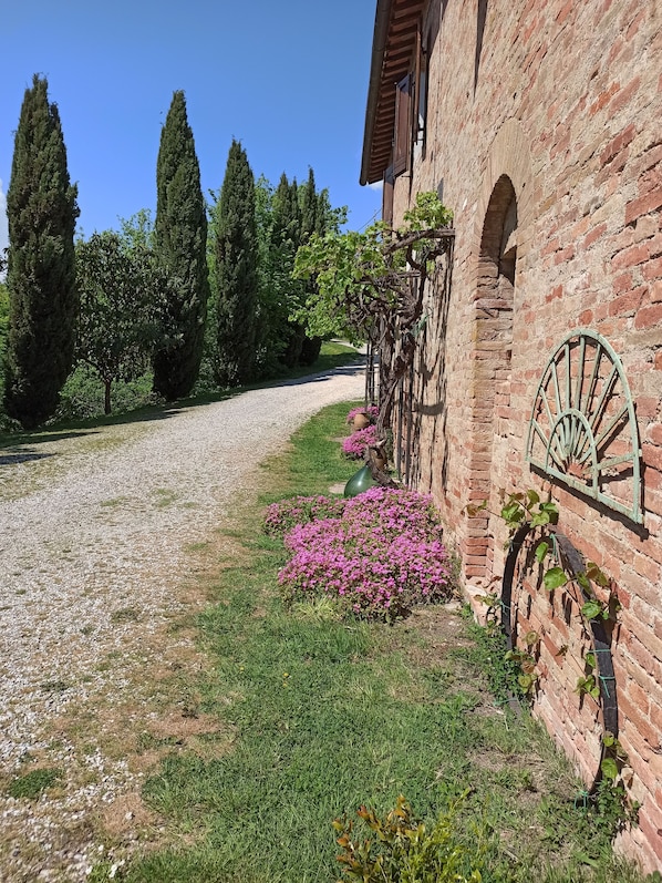 Exterior detail