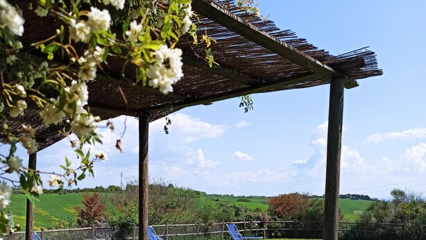Zona de piscina con una pérgola, sillones de descanso y una vista despejada de un paisaje verde.