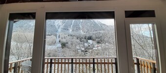 Chalet à Thollon les Mémises près d'Evian Haute Savoie entre lac et montagnes 