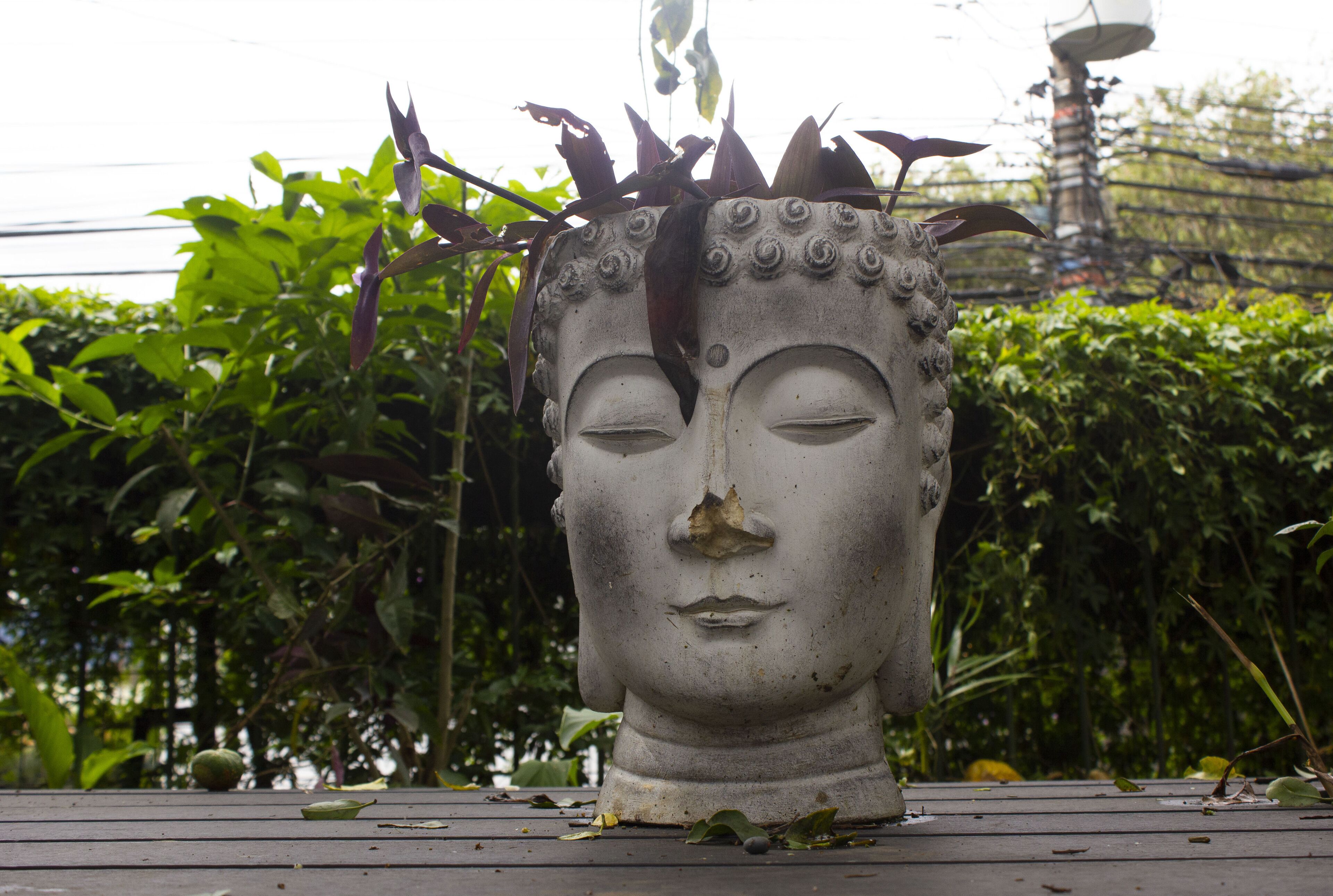 Foto - Lost in San Jose Hotel & Hostel