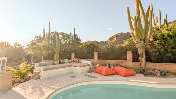 A pool area with a curved edge, surrounded by cacti and a brick wall.