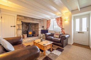 TV, fireplace - A beautiful, dog-friendly holiday home with magnificent views of two coastlines (Praa Sands)