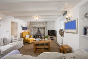 Smart-TV, Kamin