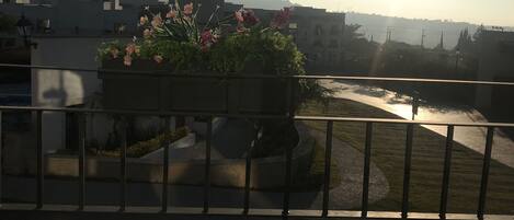 Un balcón con una maceta de flores, barandilla y vistas a edificios y una carretera a lo lejos.