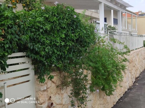 🏆Benjamin - A special place for great memories