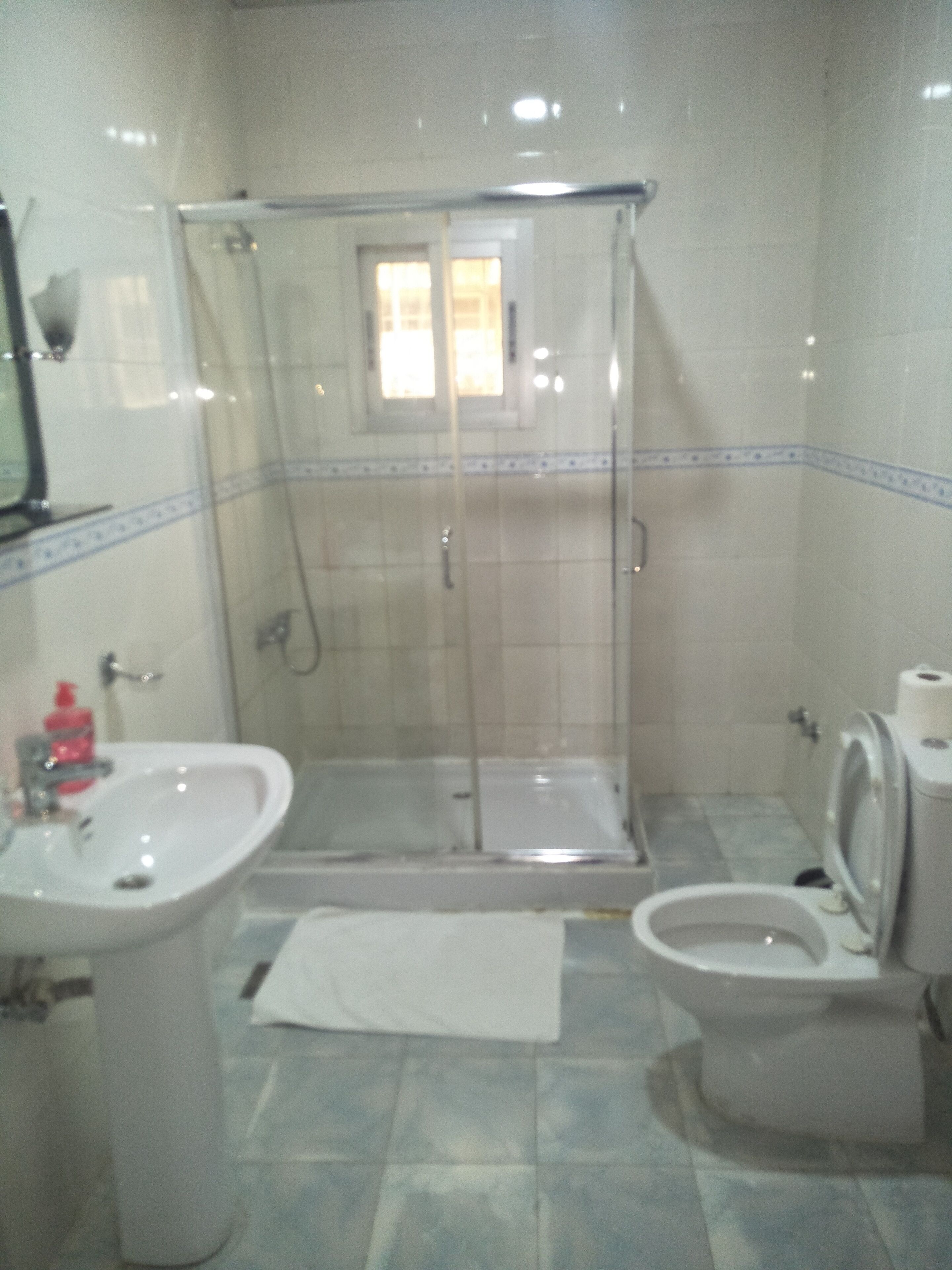 Un baño con ducha de mampara de vidrio, lavabo e inodoro.