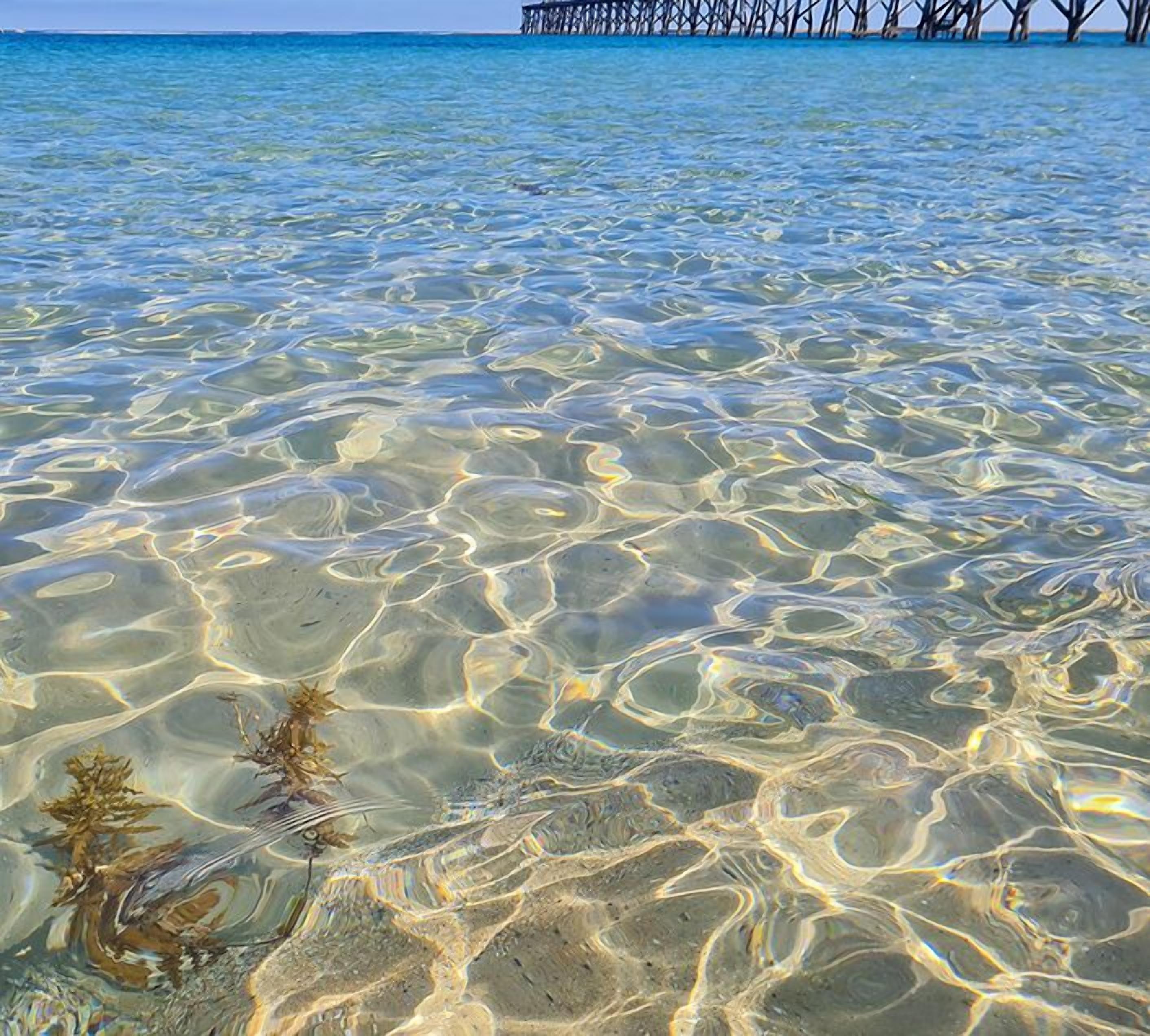 Clear shallow water with visible seaweed and a pier in the background.