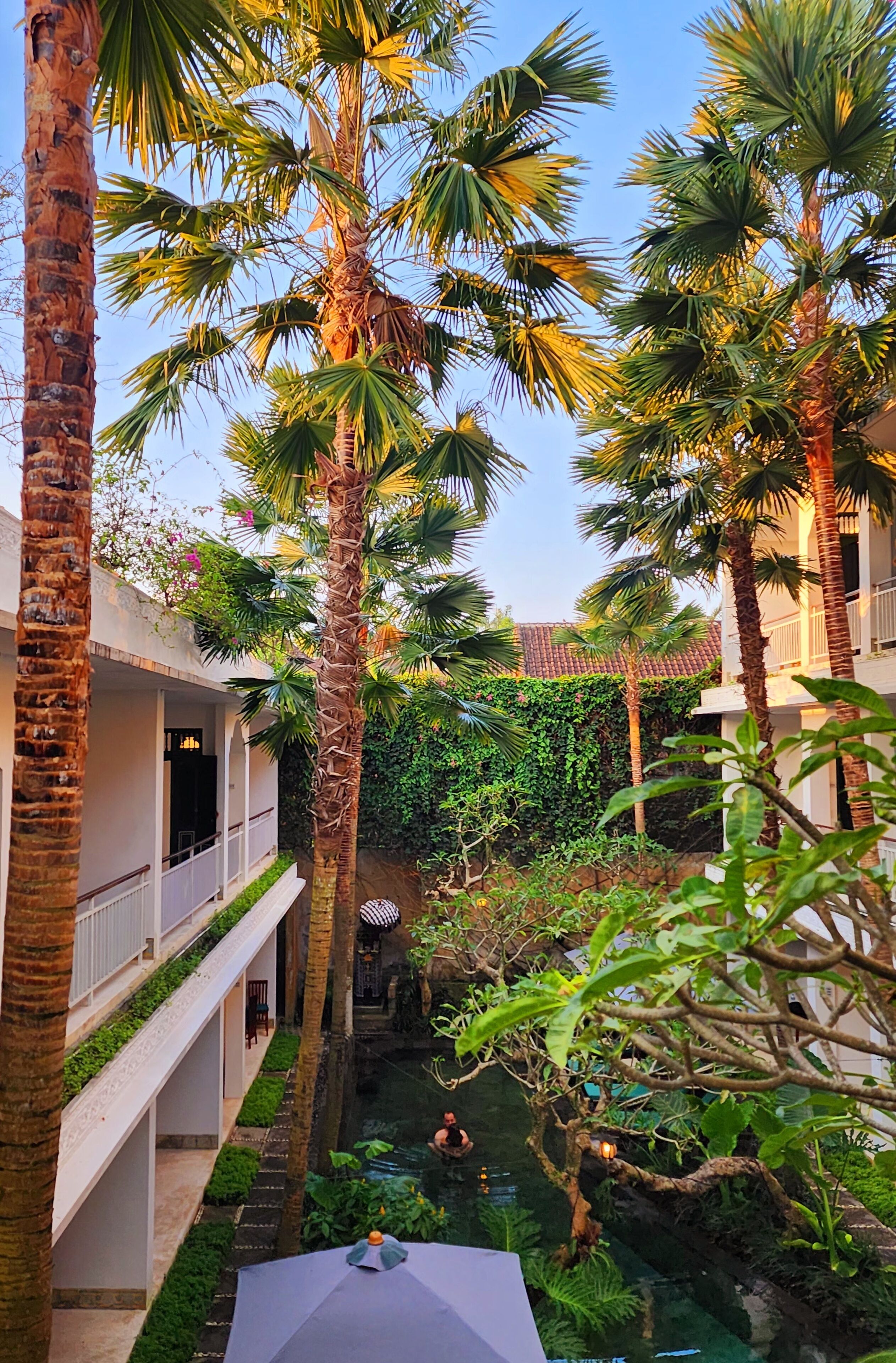 Un cortile con palme alte, una piccola fontana e un edificio con balconi.
