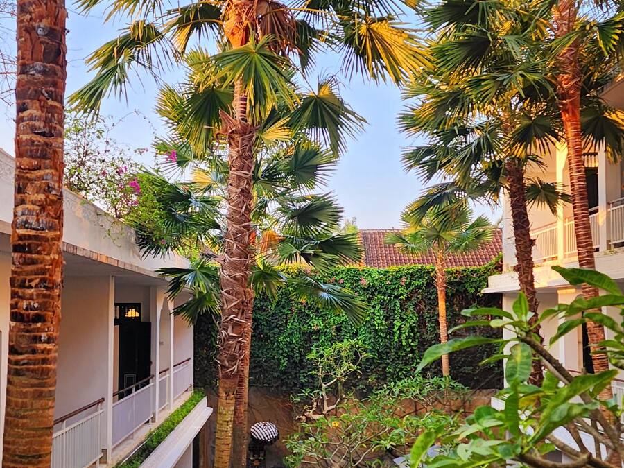 Un cortile con palme alte, una piccola fontana e un edificio con balconi.