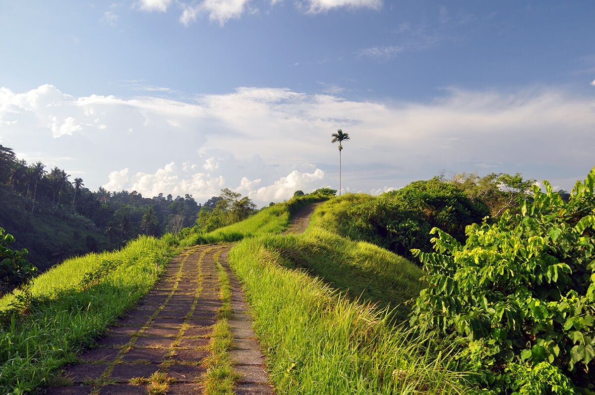 Foto - Sabana Ubud