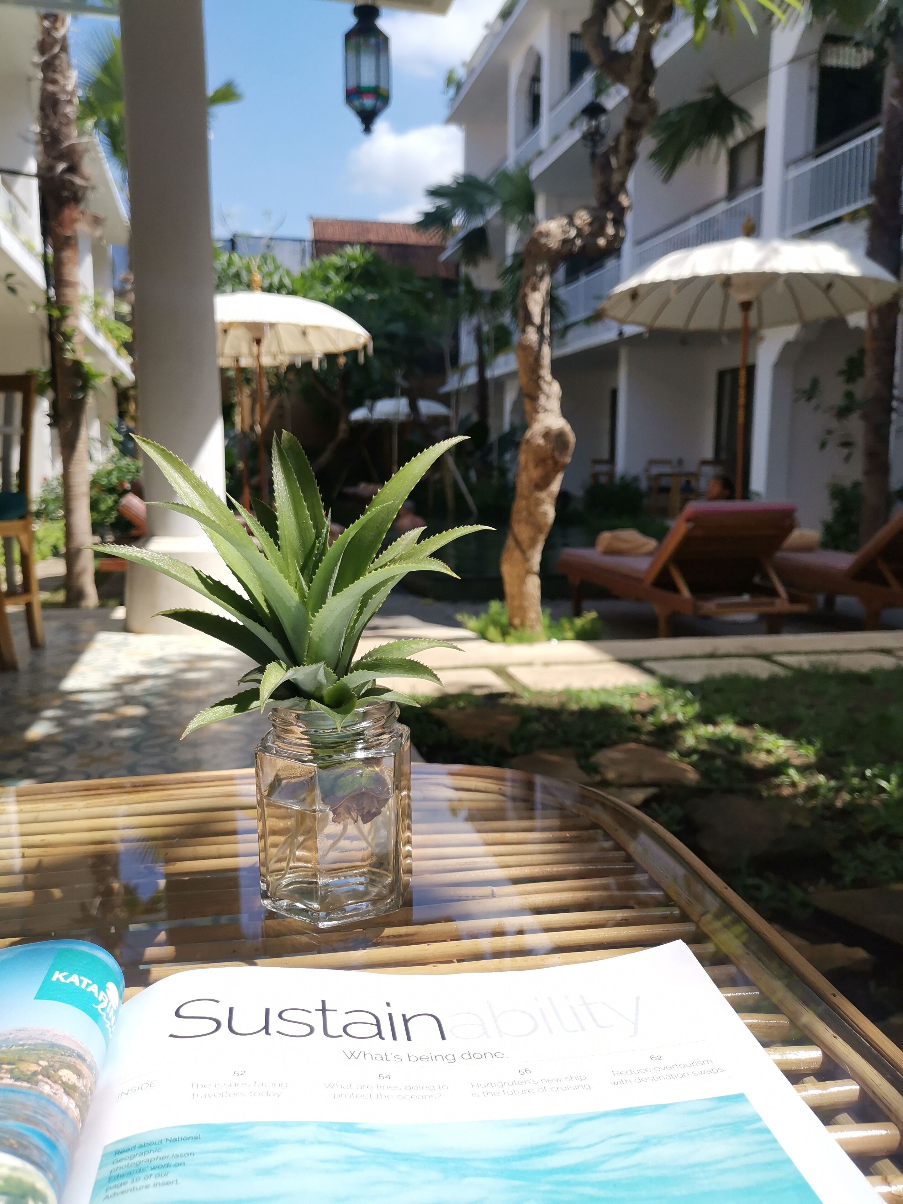 On aperçoit clairement une table en verre sur laquelle sont posés un petit pot de fleurs, un magazine intitulé « Développement durable », ainsi qu’un coin piscine avec des chaises longues et des parasols.