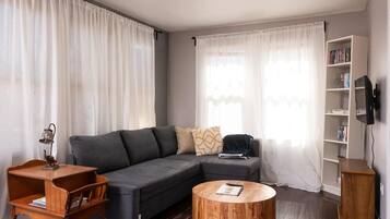 Smart TV, fireplace, books