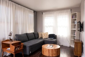 Smart TV, fireplace, books