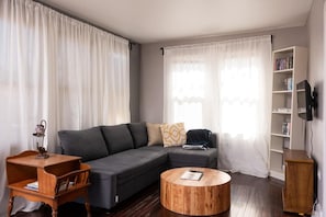 Smart TV, fireplace, books