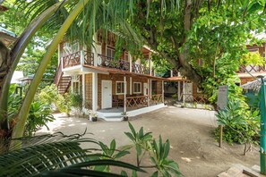 Terrace/patio - The Sharks Tail Dive Resort (Daanbantayan)