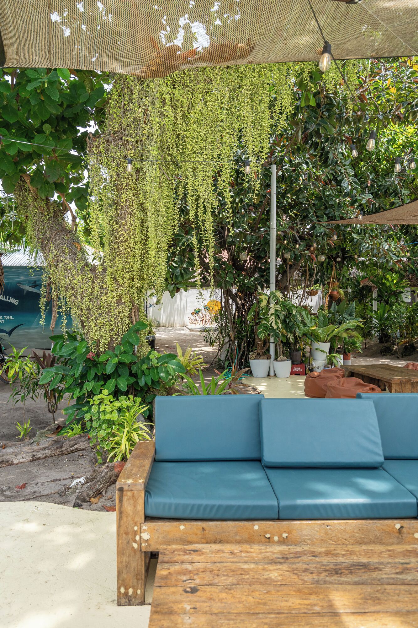A wooden bench with blue cushions, surrounded by potted plants and hanging vines.