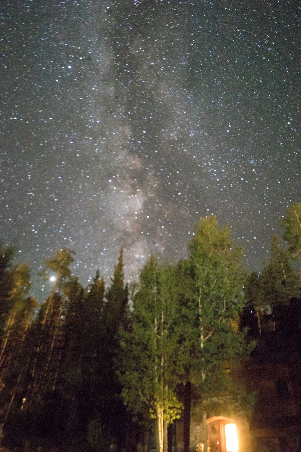 A night sky filled with stars, a dense forest, and a building with a lit window.