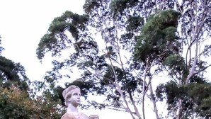 A statue of a woman in a garden with yellow flowers and trees in the background. - Treescape, Seascape Getaway (Ocean Grove)