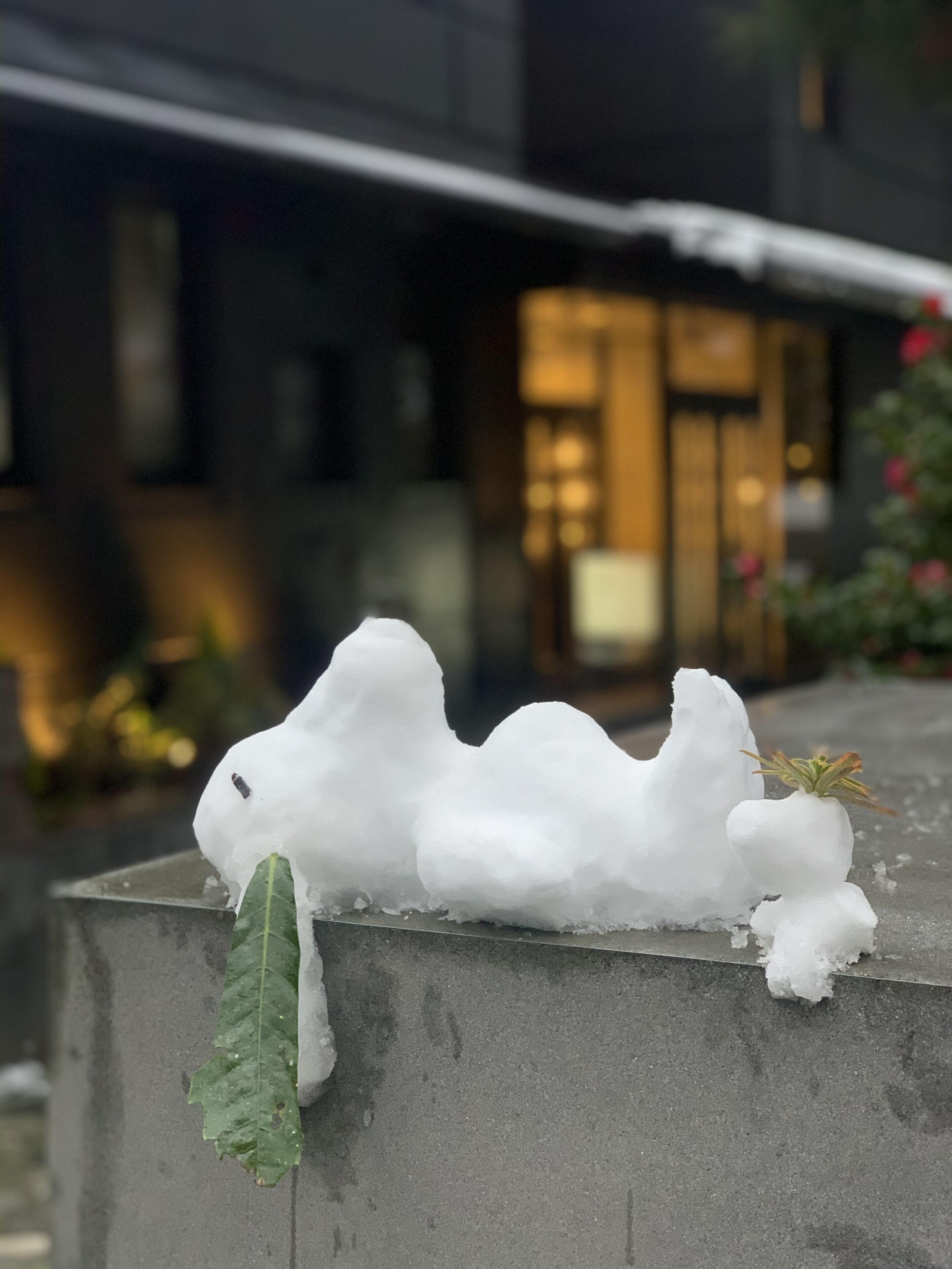 A snow sculpture on a concrete ledge with a leaf attached, in front of a building with large windows and a door.