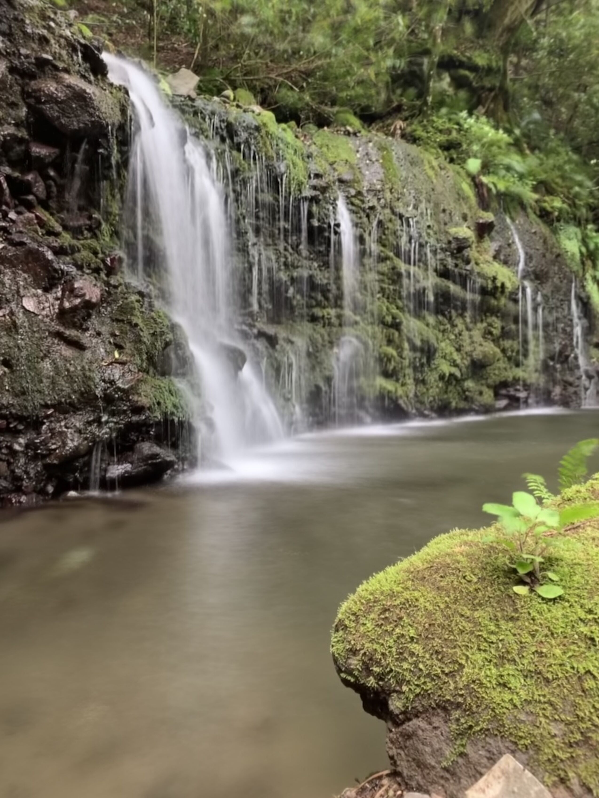 A waterfall cascading over moss-covered rocks into a calm pool, surrounded by dense greenery.