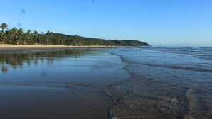 A beach with clear water, palm trees, and a sandy shore. - Pousada Vila Cacau (Uruçuca)