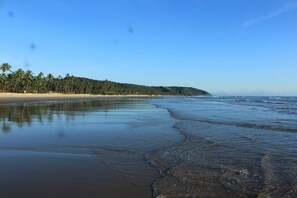 靠近海滩、白沙