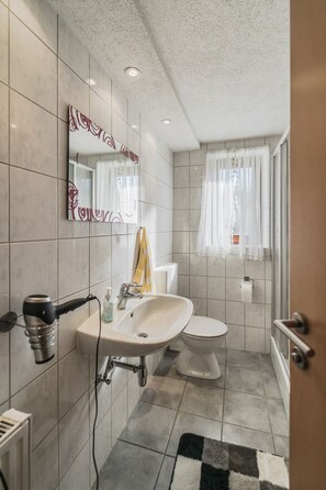 A bathroom with a sink, toilet, and hairdryer.