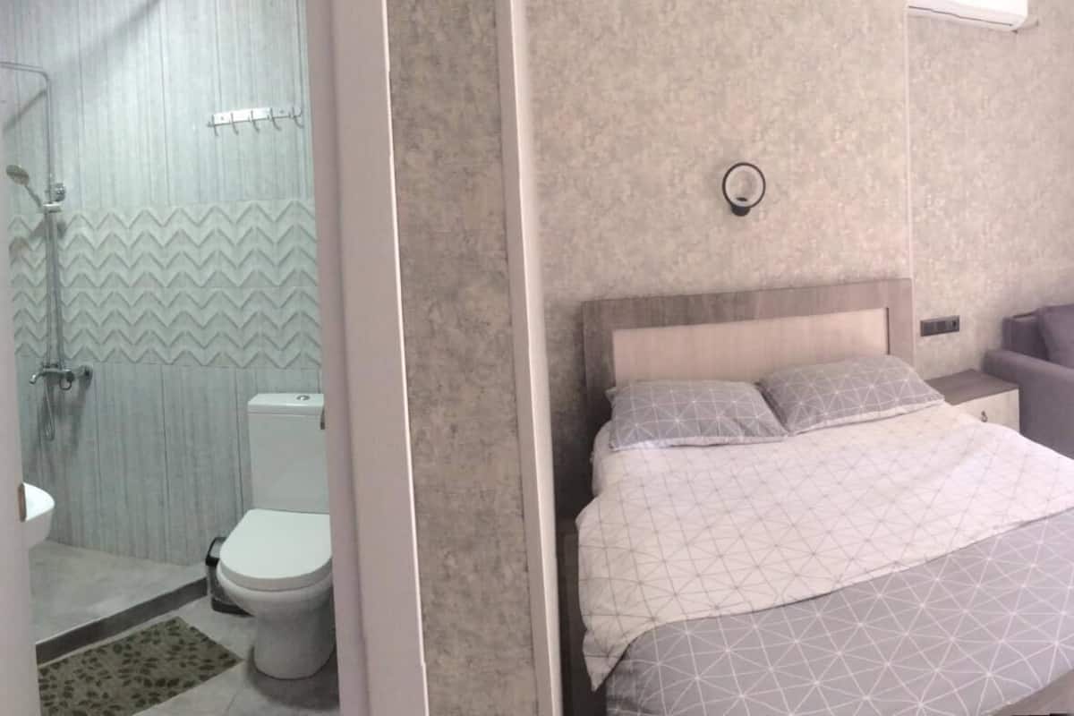 A hotel room with a bed, a bedside table, a sofa, a shower, and a toilet.