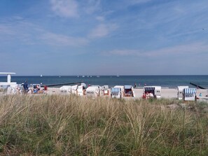 Ranta