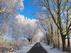 Imagen sin descripción, 5 de 50, botón