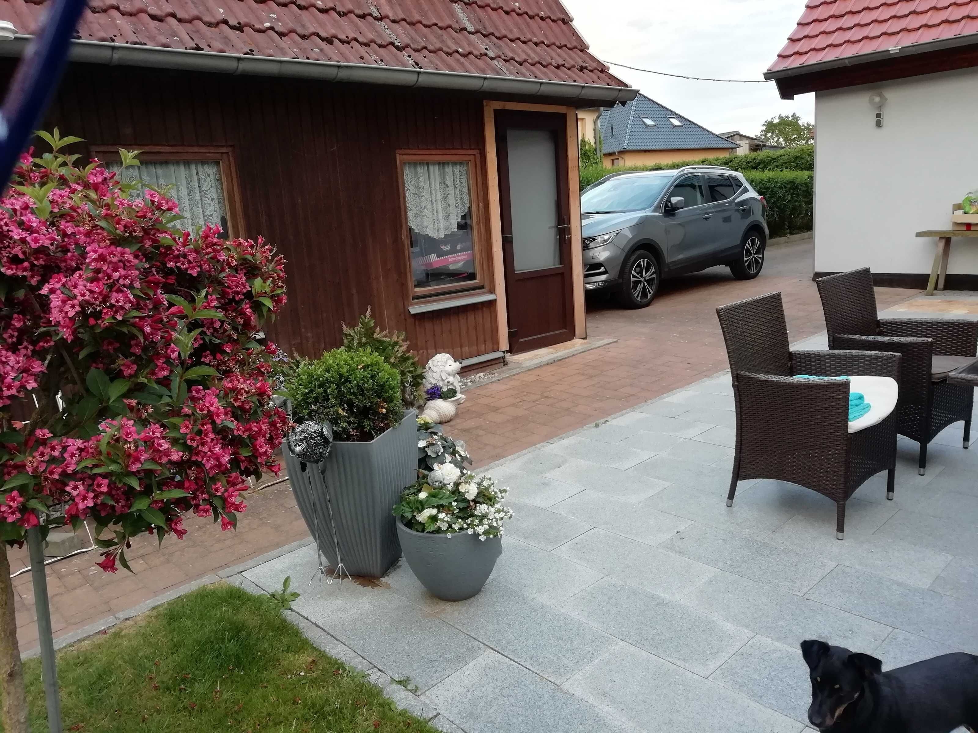 A residential area with a house, a parked car, outdoor furniture, and a dog.