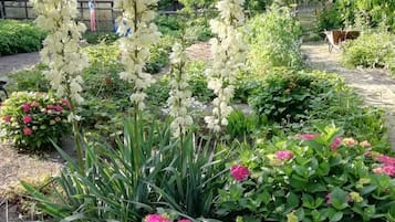 Overnatningsstedets område