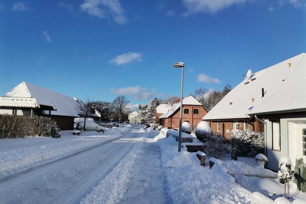 Urlaub auf dem Kleinbauernhof Gersdorf bei Ostseebad Kühlungsborn - Winterimpressionen