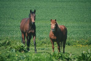 Botón de imagen sin clasificar, 3 de 50