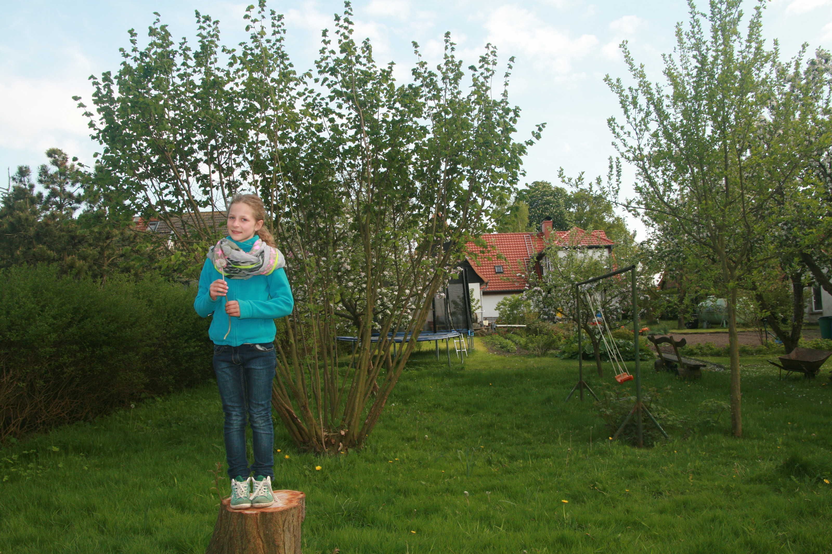 A person standing on a tree stump in a grassy area with trees and a building in the background.