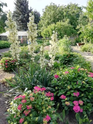 Imagen sin descripción, 3 de 50, botón