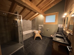 Shower, hair dryer, towels