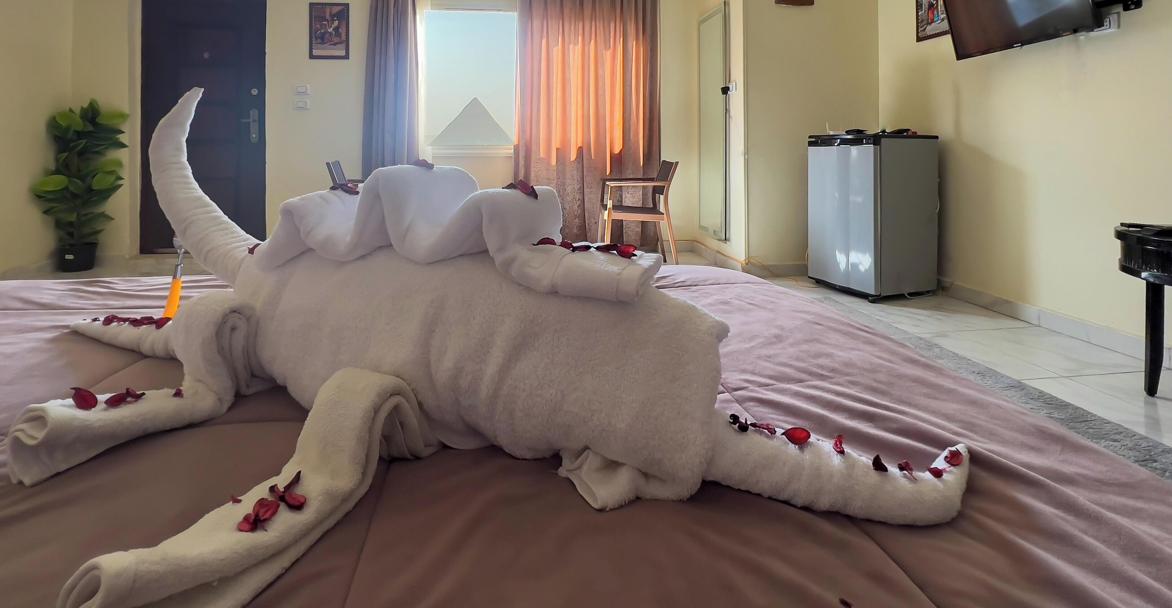 A hotel room with a bed, a TV mounted on the wall, a desk, and a potted plant.