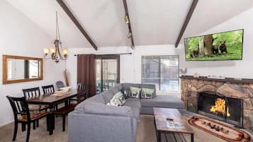 Télévision, cheminée, jeux vidéo, lecteur de DVD