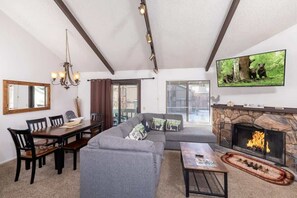 TV, fireplace, video games, DVD player