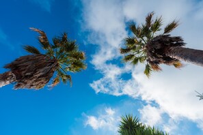 Unclassified image, 5 of 40, button