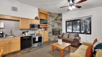 Televisión, chimenea, reproductor de DVD